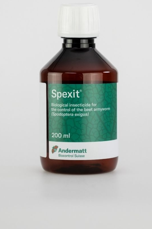 Andermatt Iberia在西班牙取得SPEXIT®（有效成分：甜菜夜蛾核型多角体病毒）正式商业化授权